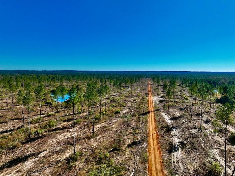 16377D96-2C92-49FF-8707-FCF194E264AF_1_201_a