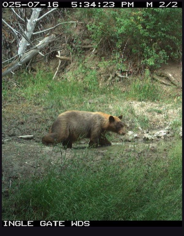 820E9951-6B3A-4A75-8B48-819EB6C9F7EF