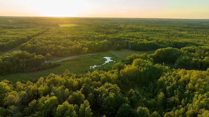 Cass MN 1095 Featured ProPhoto-96