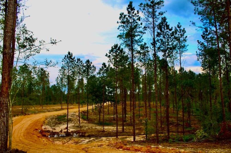 CB3E0302-8B83-4F57-87EF-F89247FB7C3F_1_105_c