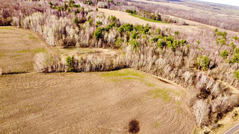 dji_fly_20230504_180644_691_1683241613876_photo_optimized