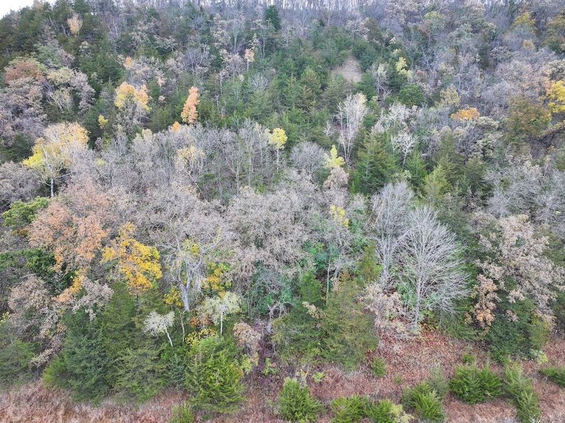 Houston 24.97 Updated-19