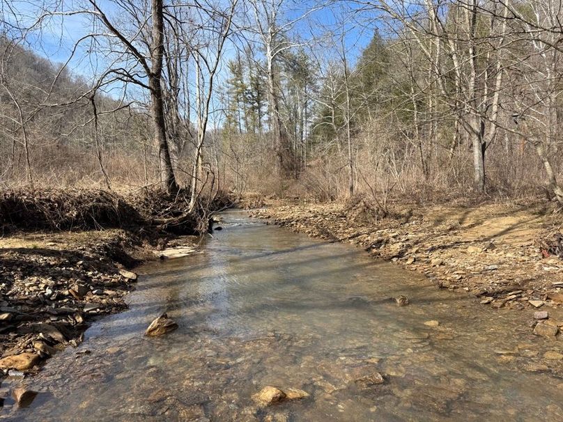 025 Laurel Fork Cree flowing to the west near the west boundary