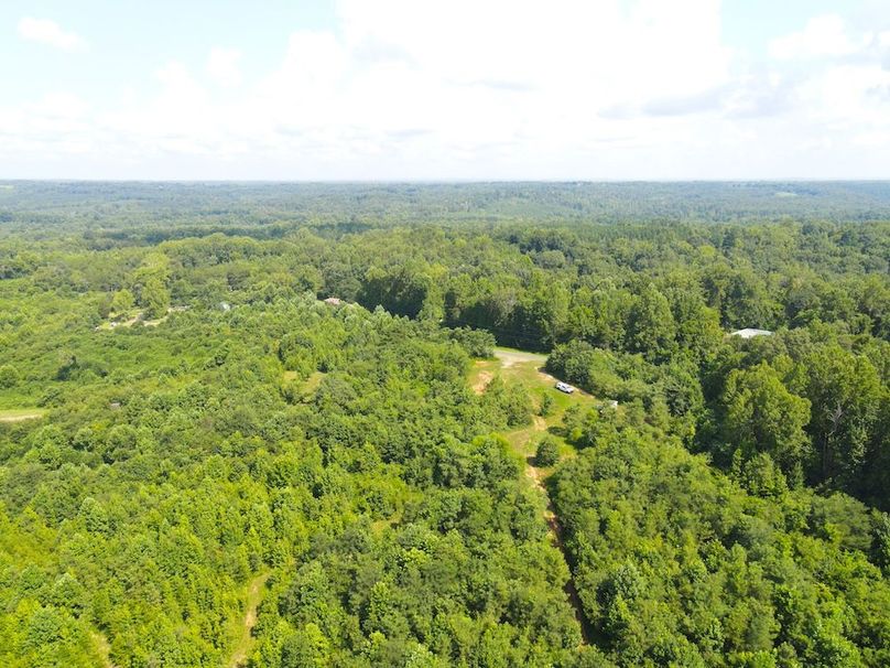 dji_fly_20250729_105338_803_1753800921269_photo