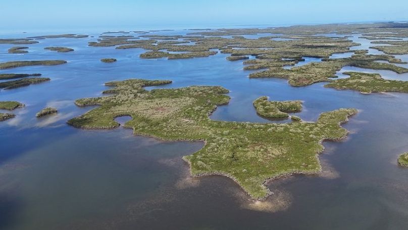 17.17ac, Citrus, Josiah Ronco29