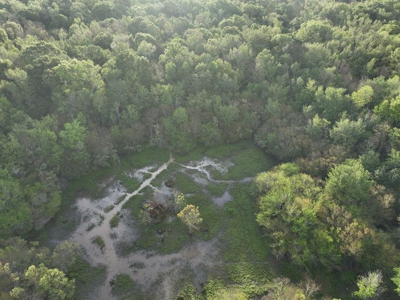 dji_fly_20260407_083426_356_1775580331975_photo