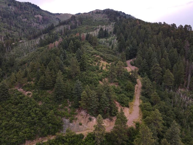 DJI_0251