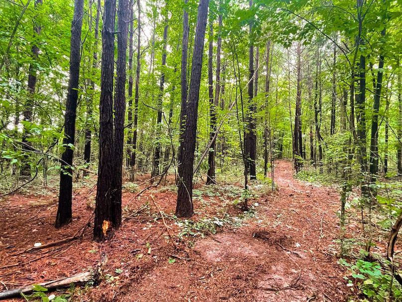 DE641B25-B01E-4ADF-AB85-C3E38696CD2D