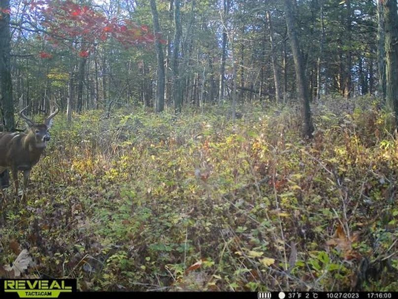 6f7993b3-e6c5-4ff2-8780-8027b66b8021