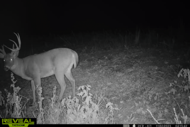 trail cam7