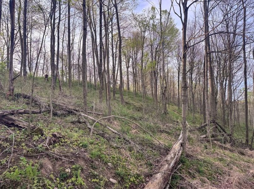 Screenshot 2026-04-21 at 11.35.46 AM