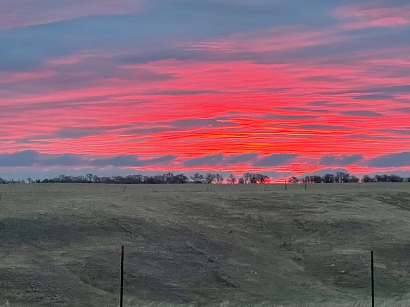 8481F11E-D8C6-40D5-809A-2AC705EBAF87