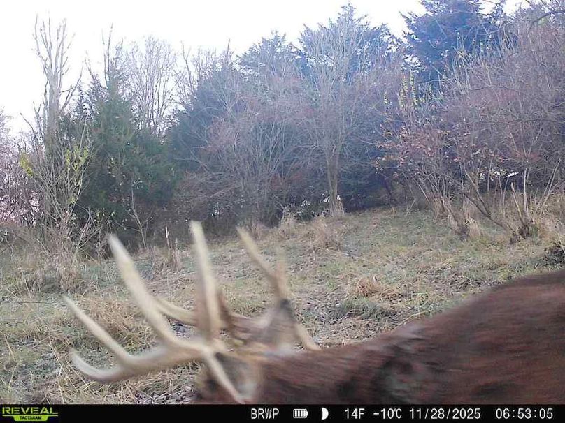 860322065924133-100-4-11282025065304-W1001375