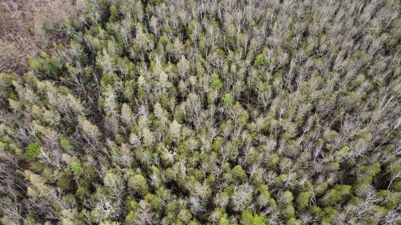 dji_fly_20230504_164358_394_1683236972969_photo_optimized