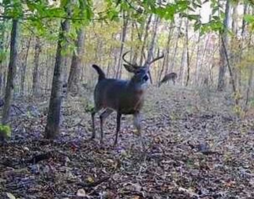 D615A124-89A7-4341-88BE-6523A79B25E2_4_5005_c