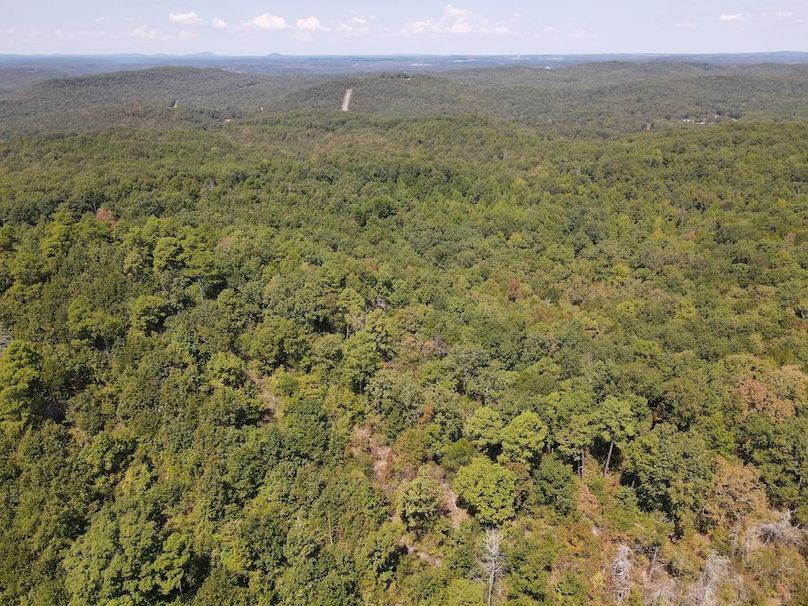 dji_fly_20250902_122302_765_1756833794645_photo