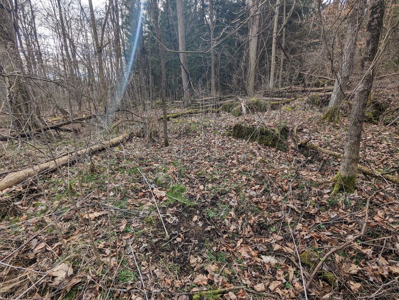 PXL_20230213_164719342