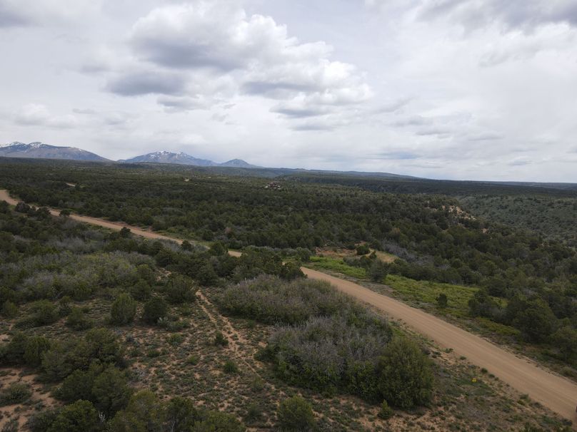 dji_export_1685968244968