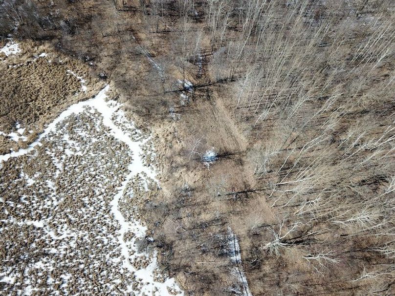 DJI_0030