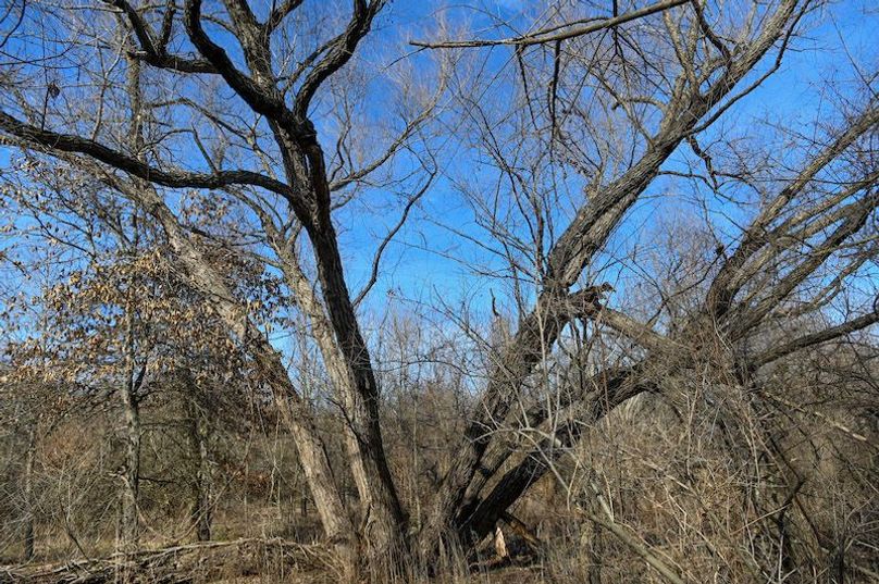 vandalia 450 (2)-1696