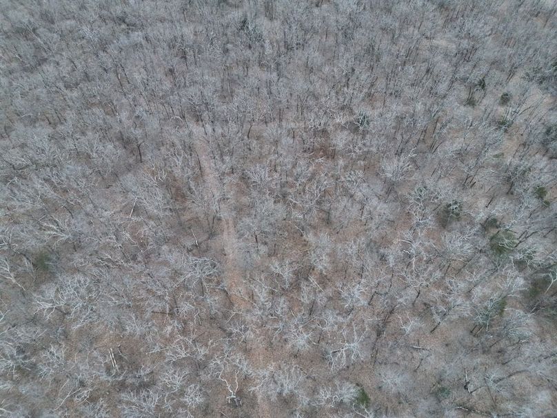 DJI_20260124001508_0016_V