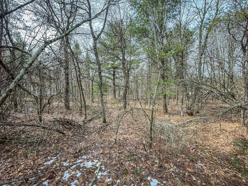 Adams 10.06 Johnson-30