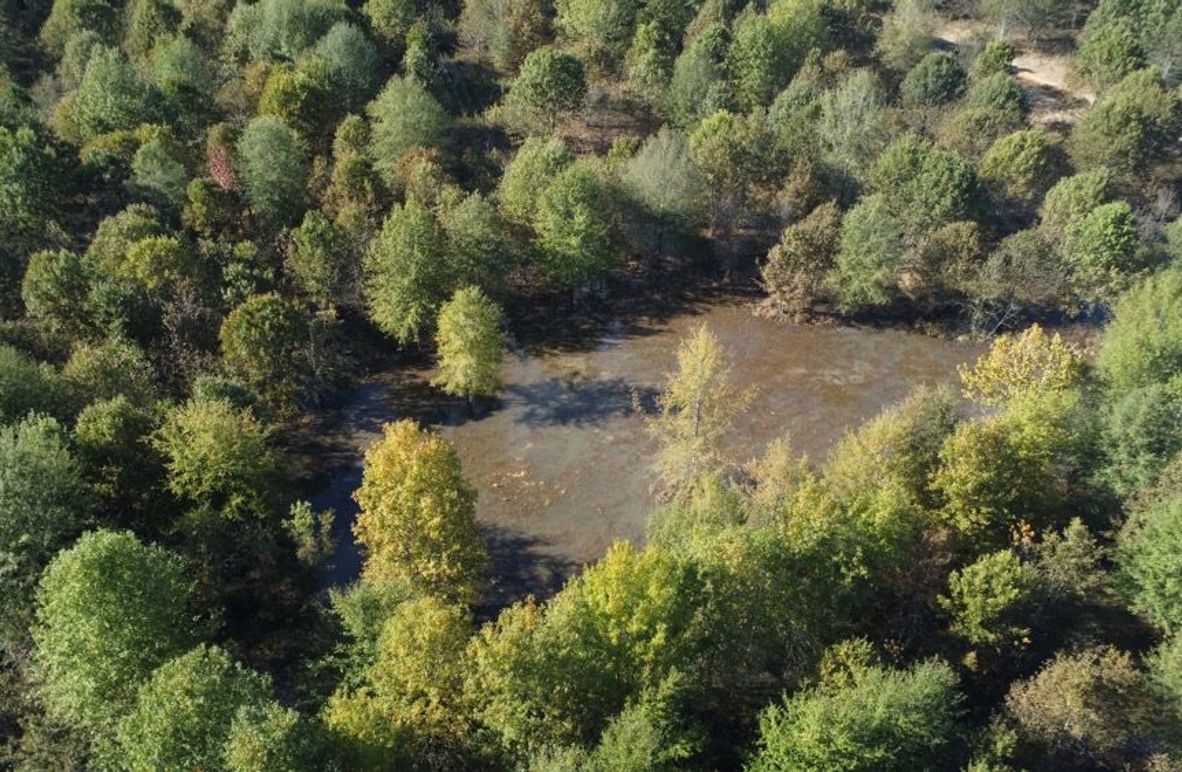 1a1 jeff 8320251111_0232