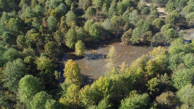 1a1 jeff 8320251111_0232