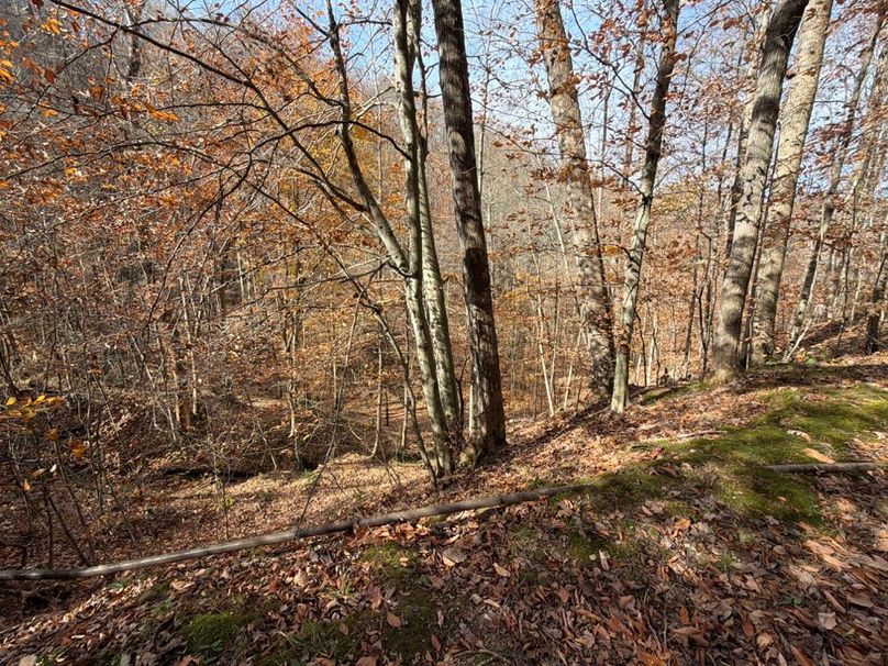 011 North West Hollow view from the Gas Well
