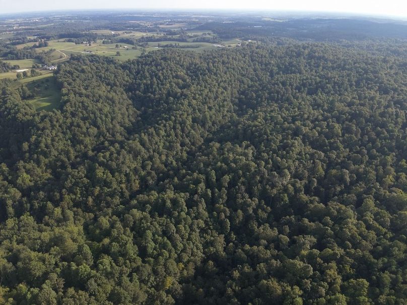 DJI_20250806185617_0016_W