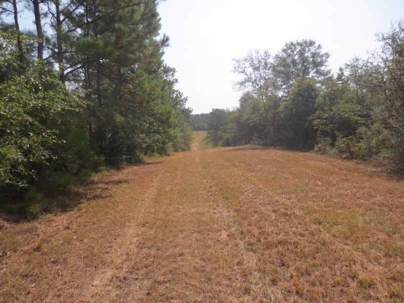 3316B114-085E-44AE-A09B-C42B6357FDED_1_105_c