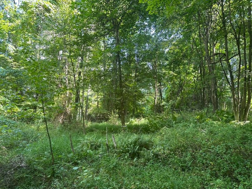 D50BD128-6473-467C-ABAA-1F7F8AA7E014_1_105_c