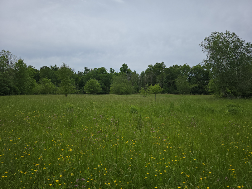 photo_c1184450-552b-46ea-afdc-fede38214b7e