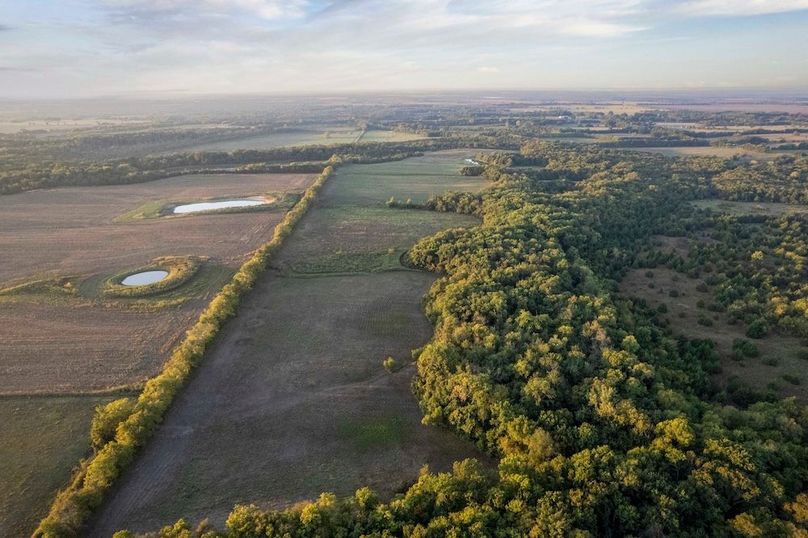 Lamar County- 93 acre reshoot (23 of 38)