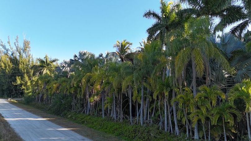 DJI_20260206085113_0219_D