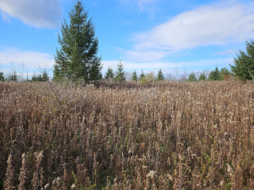 photo_440ca75c-407f-4577-ba0f-e1fc065cb0bd