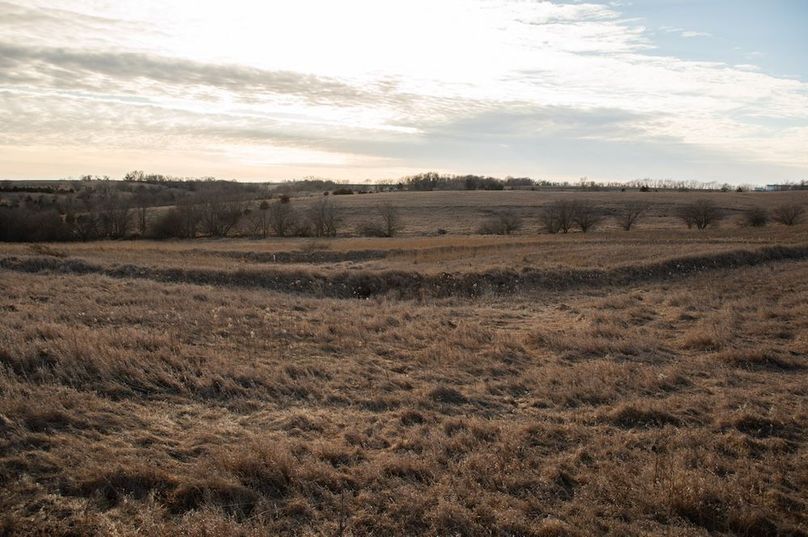 MONTGOMERY CO IA 156.78_23