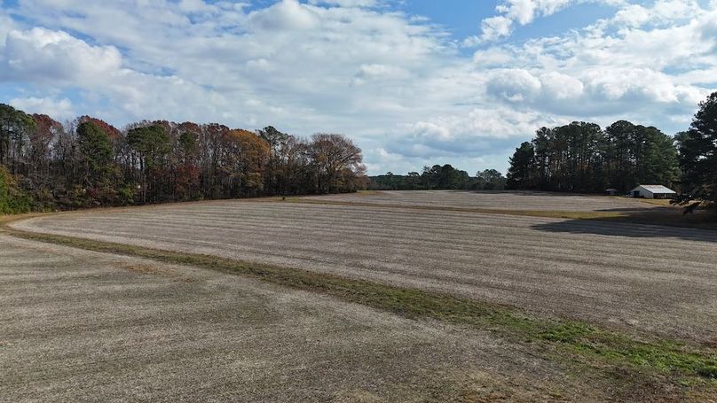 dji_fly_20251122_130124_0069_1763834525254_photo