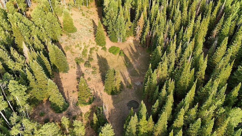 DJI_20250726182448_0180_D