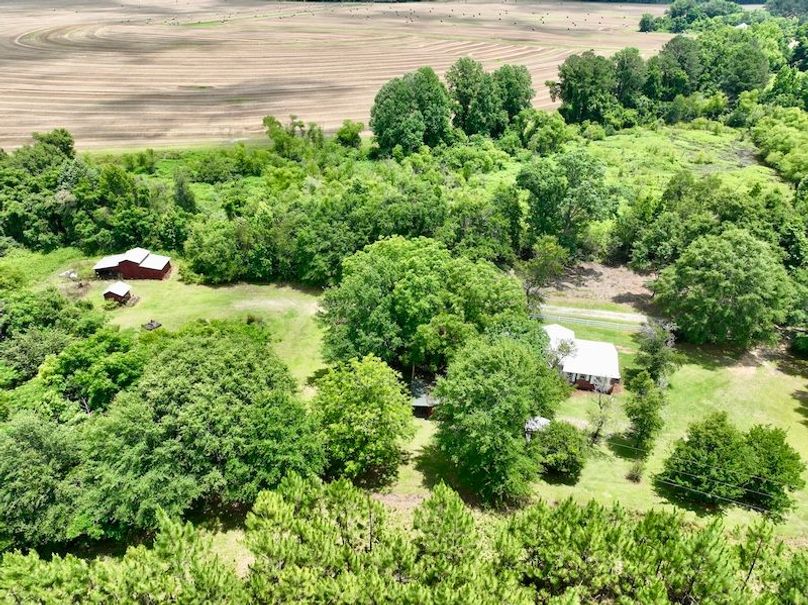 dji_fly_20260601_132652_713_1780334974267_photo