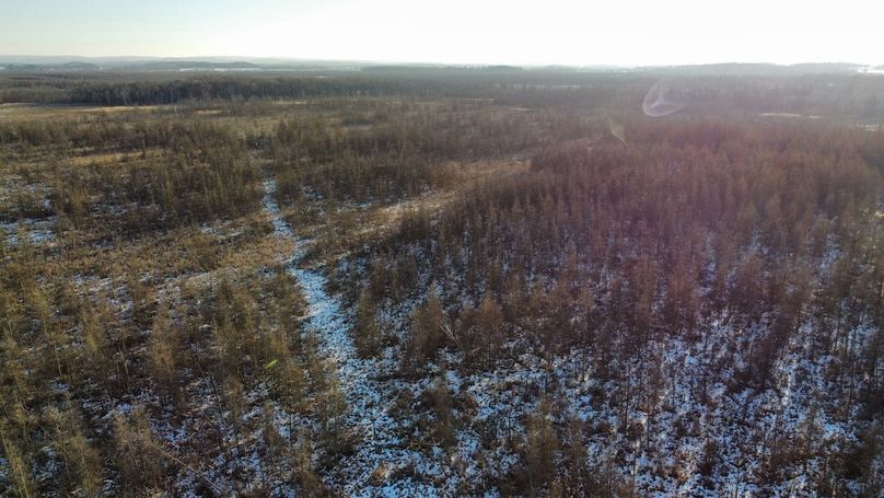 dji_fly_20240131_155608_929_1706897159530_photo_optimized