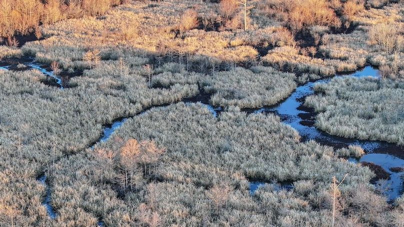 St. Francis 138.5 Calvin Parker Farms Profile -15