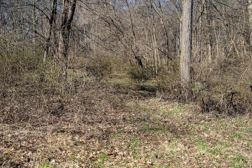 Jo Daviess IL 23.5_12