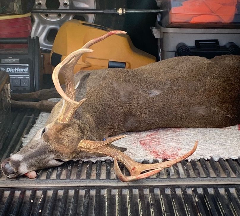 perry 100-10 buck a truck