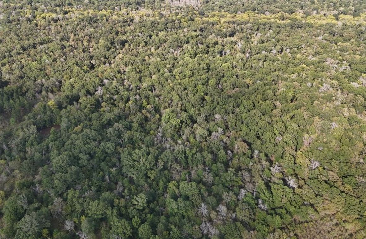 DJI_20250930052846_0762_D