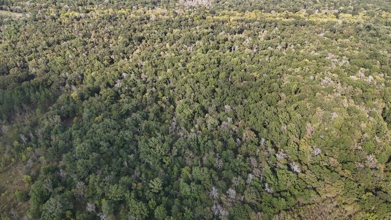 DJI_20250930052846_0762_D