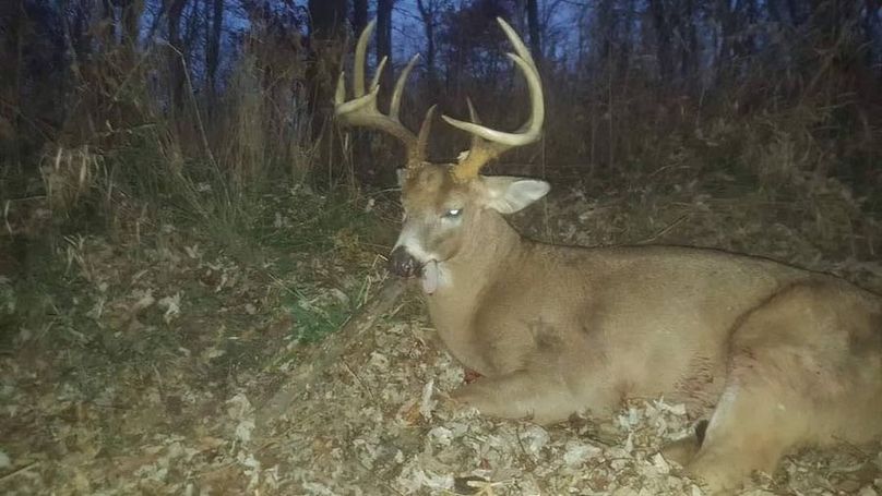 FB_IMG_1604960632929