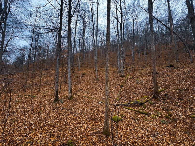 Ritchie, WV 100 AC Harper-50