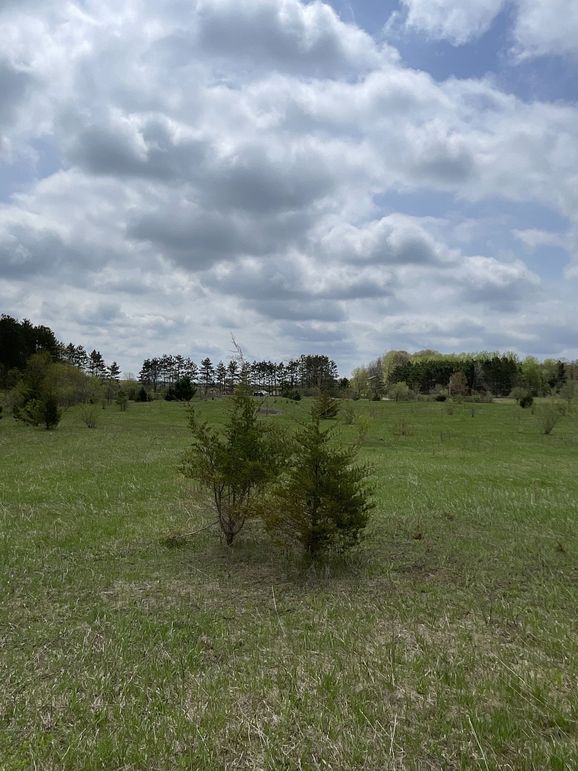 St.Croix4.56Conway-014