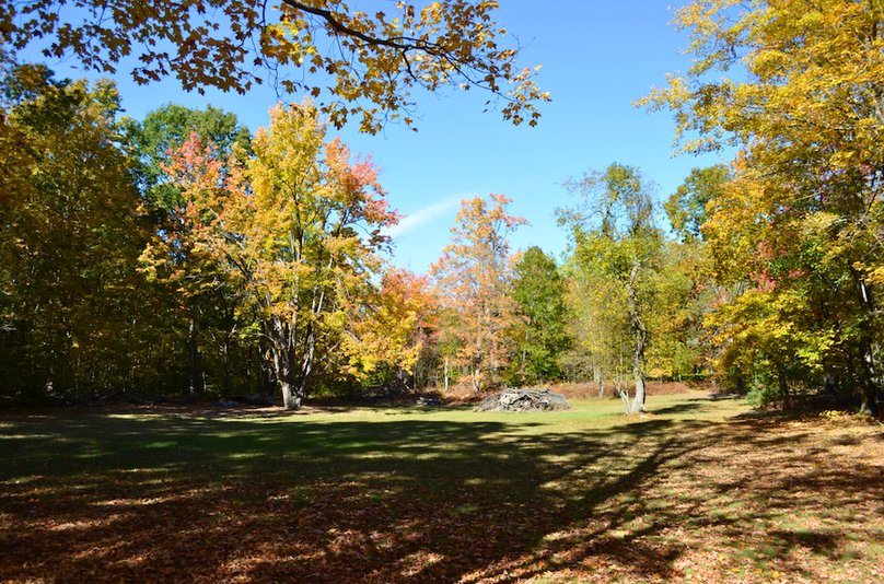 Screenshot 2025-11-11 at 12.14.56 PM